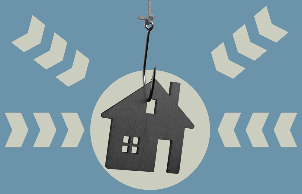 Фото: Vitalii Vodolazskyi / Shutterstock.com