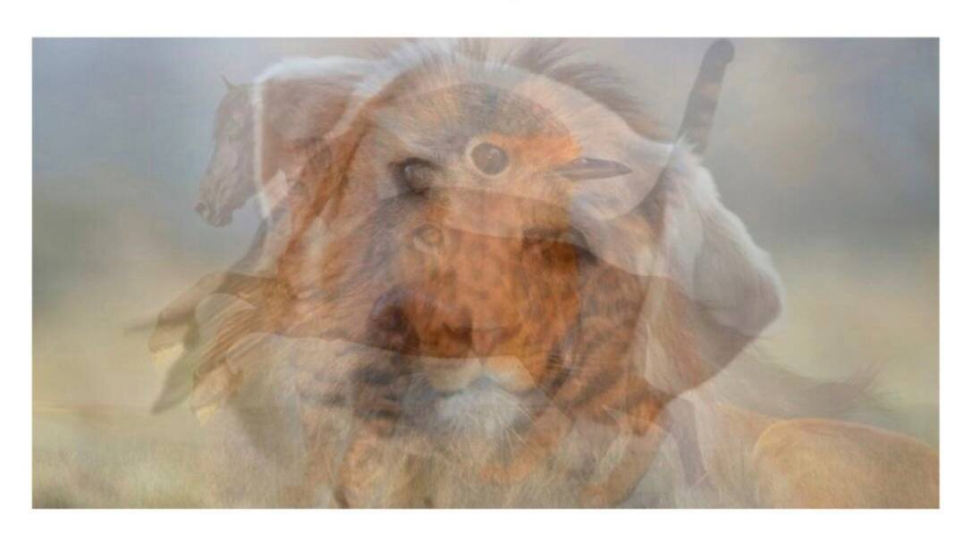 #тест #метод #юнг #ассоциации #животные #psy 