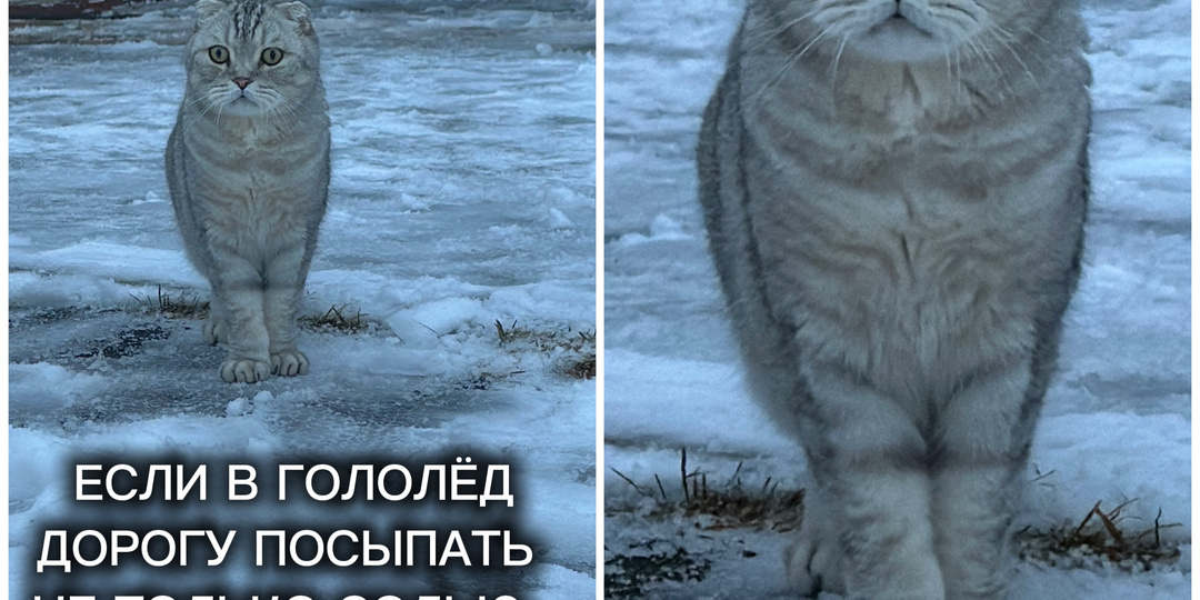 Не благодарите😅