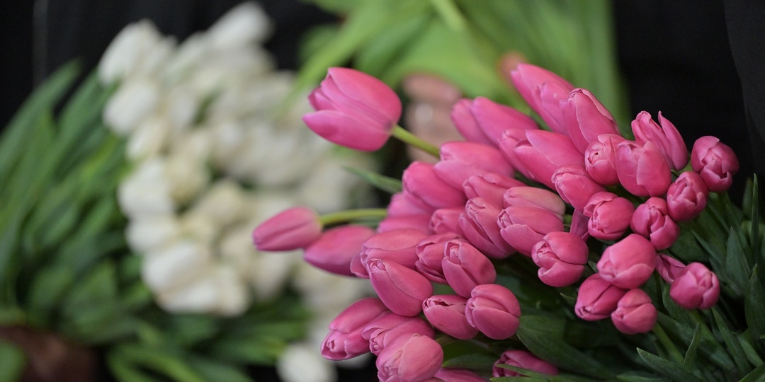 Бесплатные концерты, мастер-классы и выставки: Москвичкам приготовили сюрпризы к 8 марта