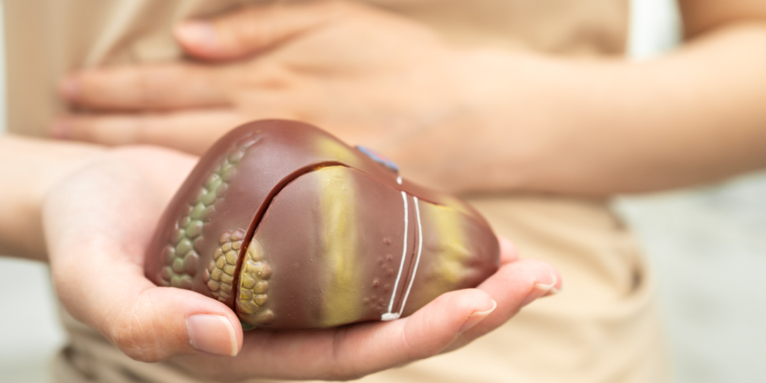 Фокус на печень: как защитить главный фильтр организма при лечении туберкулеза