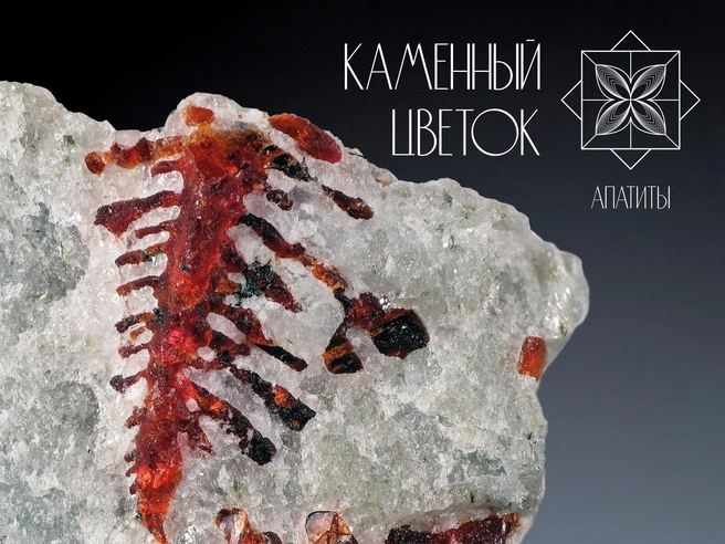 Каменный цветок 2026 — Арктический фестиваль-выставка коллекционных минералов Кольского полуострова