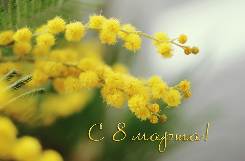 Яндекс Картинки