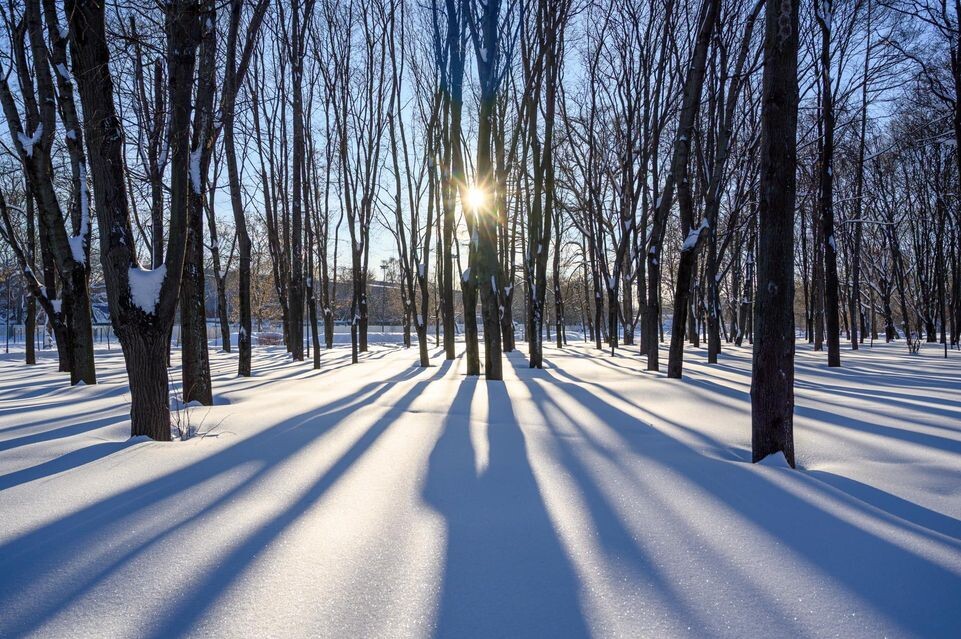    медиасток.рф