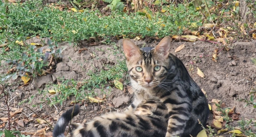    Фото Анастасии Дмитриевой