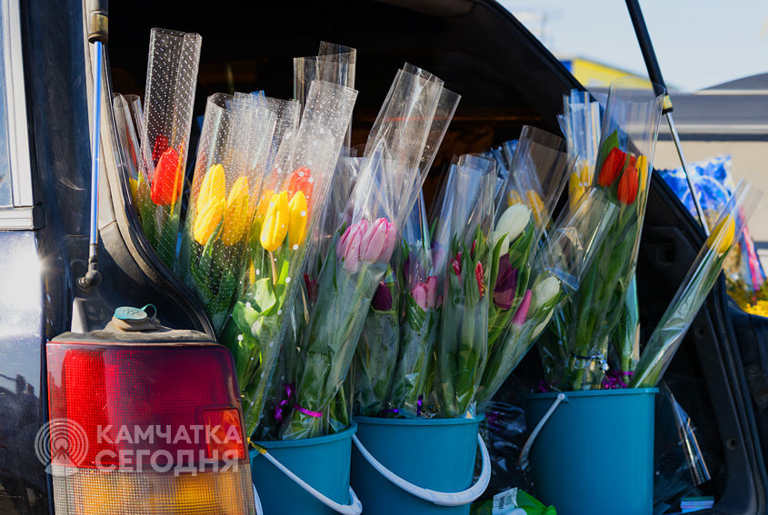 Фото ИА «Камчатка» (архив)