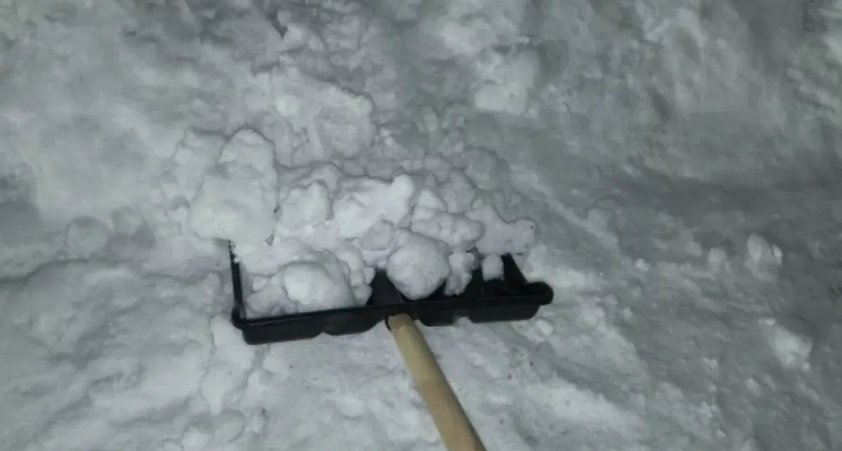    Фото с сайта mar.aif.ru с сайта aif-s3.aif.ru