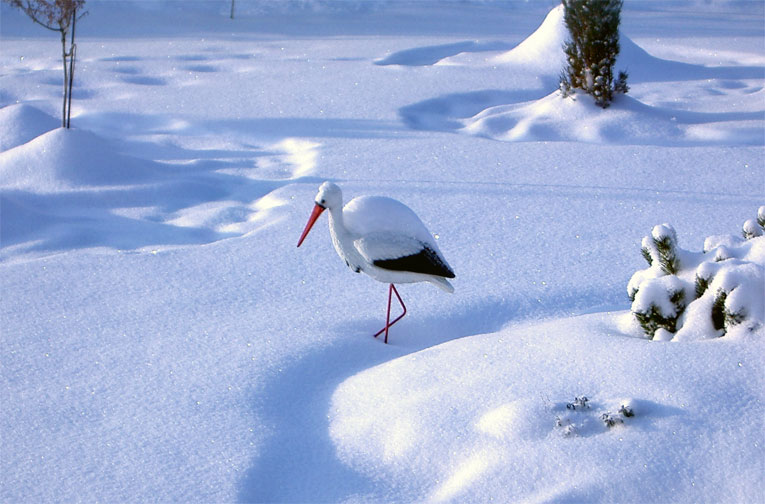 Изображение из открытых источников