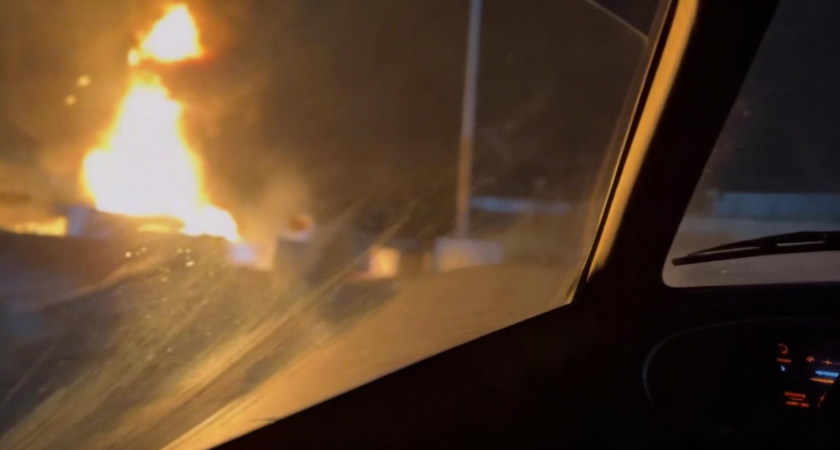    Обложка © Telegram / Домодедовод: новости Домодедово