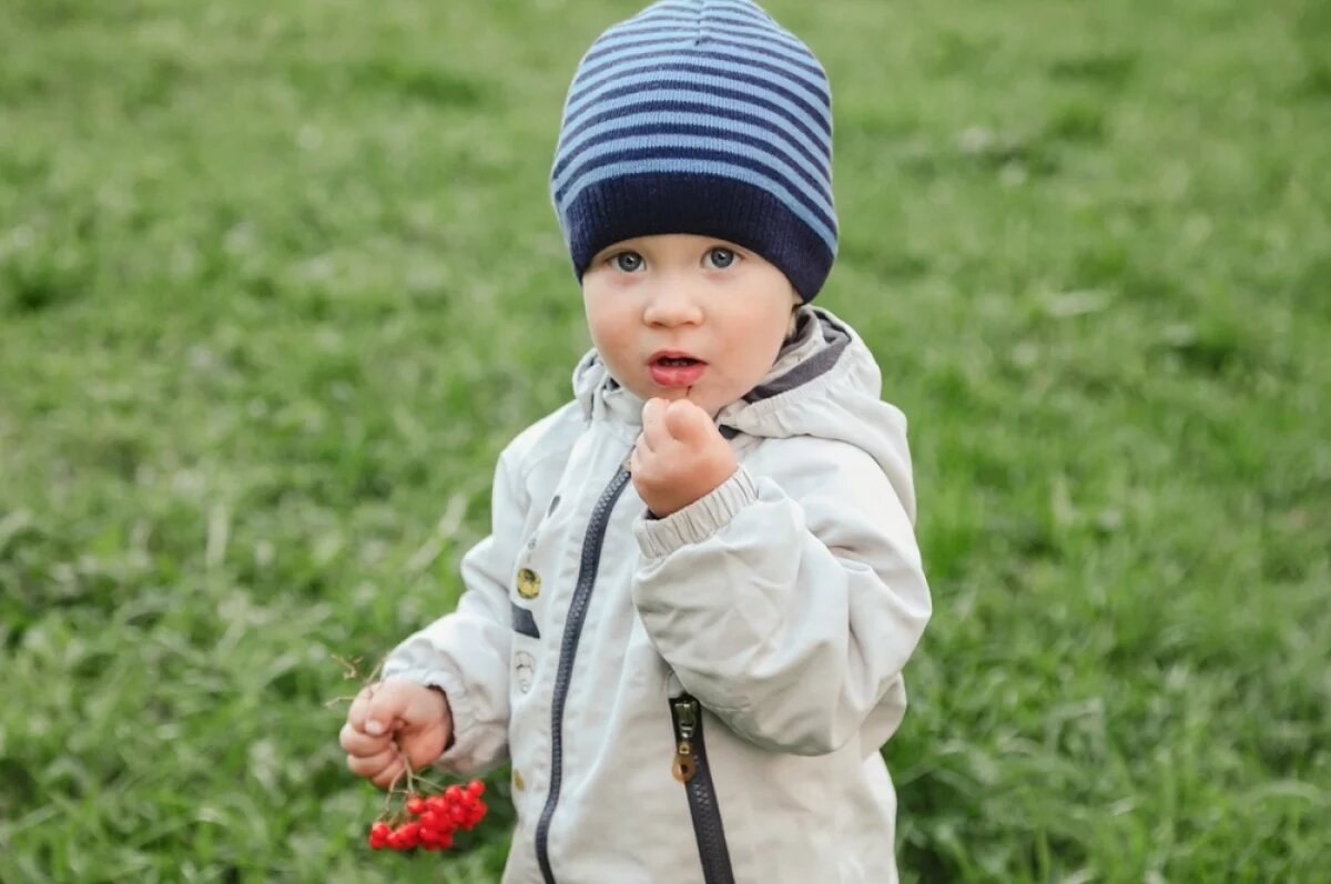    Как помочь ребёнку распознавать опасные растения.