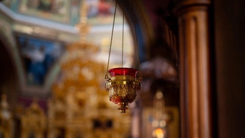      Фото: @freepik / ru.freepik.com