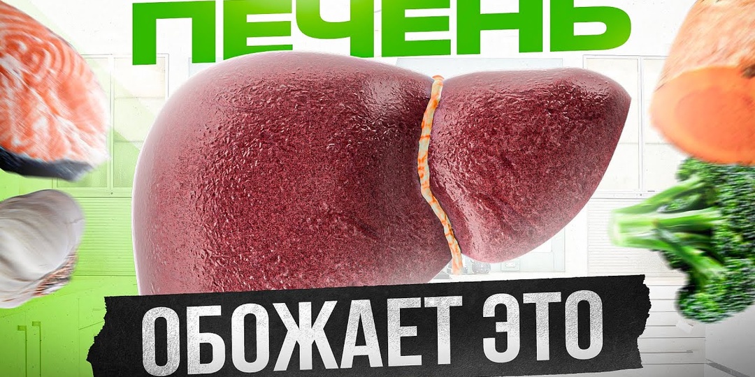 Эти продукты особенно полезны для печени после 50