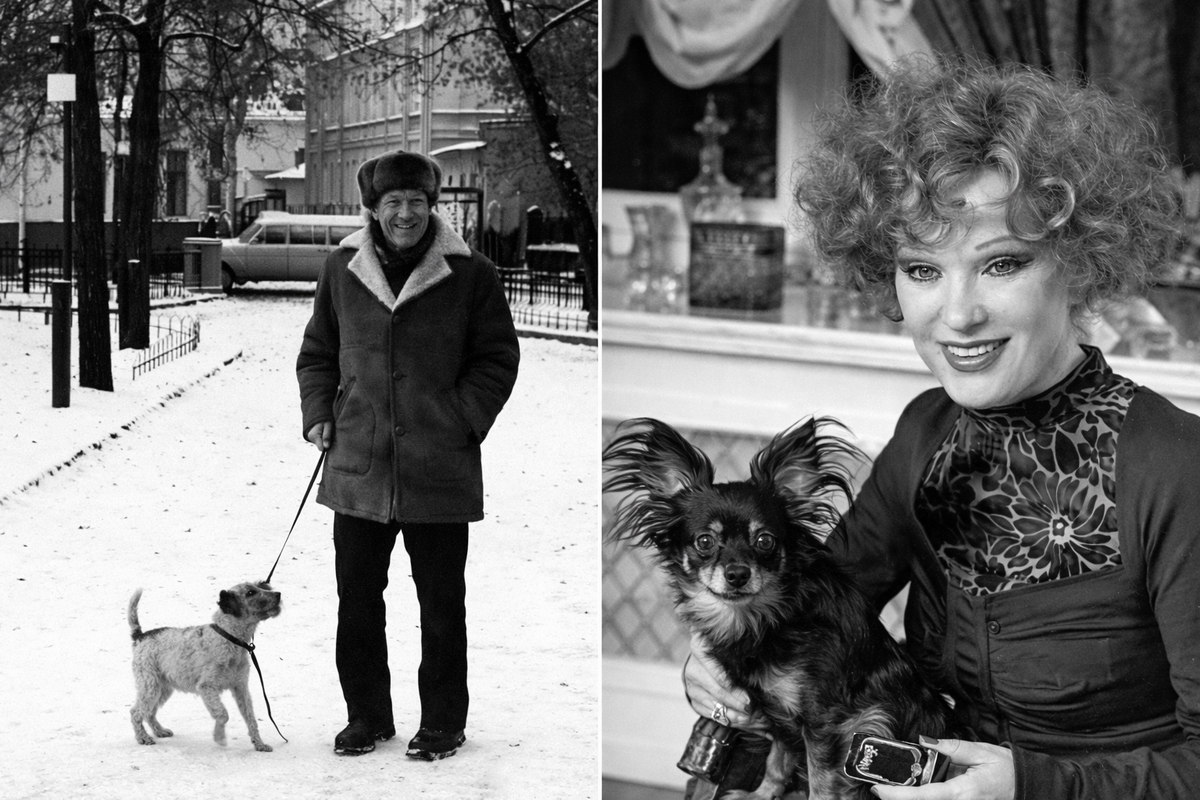 Фото из открытых источников.