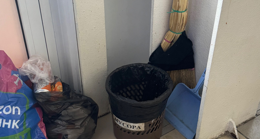    Фото progorod43.ru