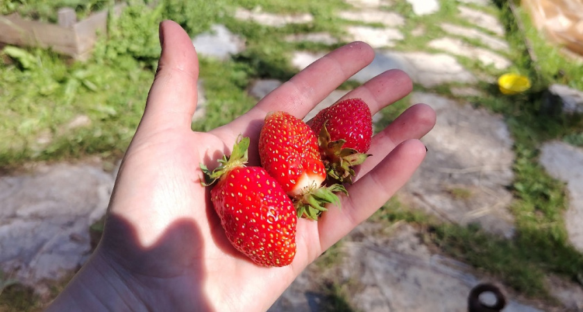    фото из архива редакции