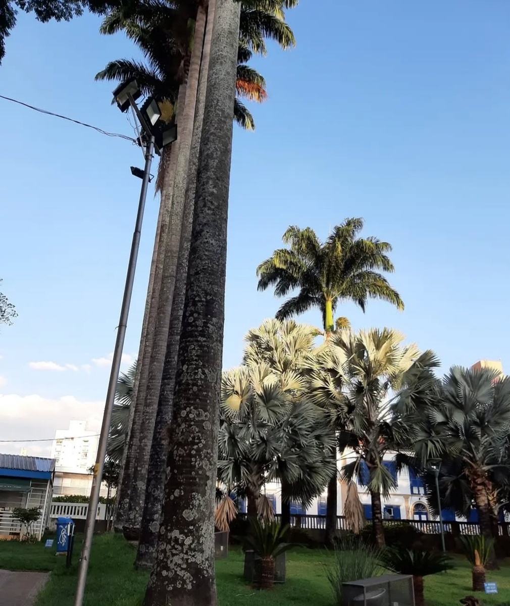 Город Кампинас. 