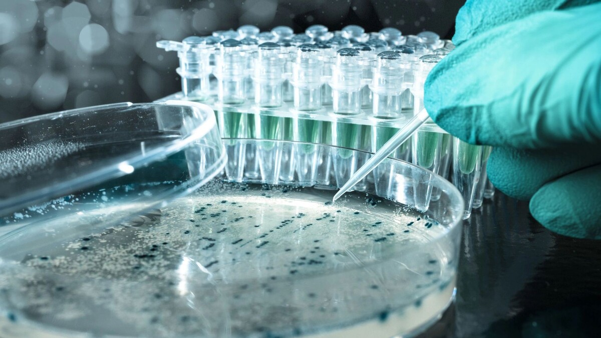    Фото: tilialucida/Shutterstock/Fotodom