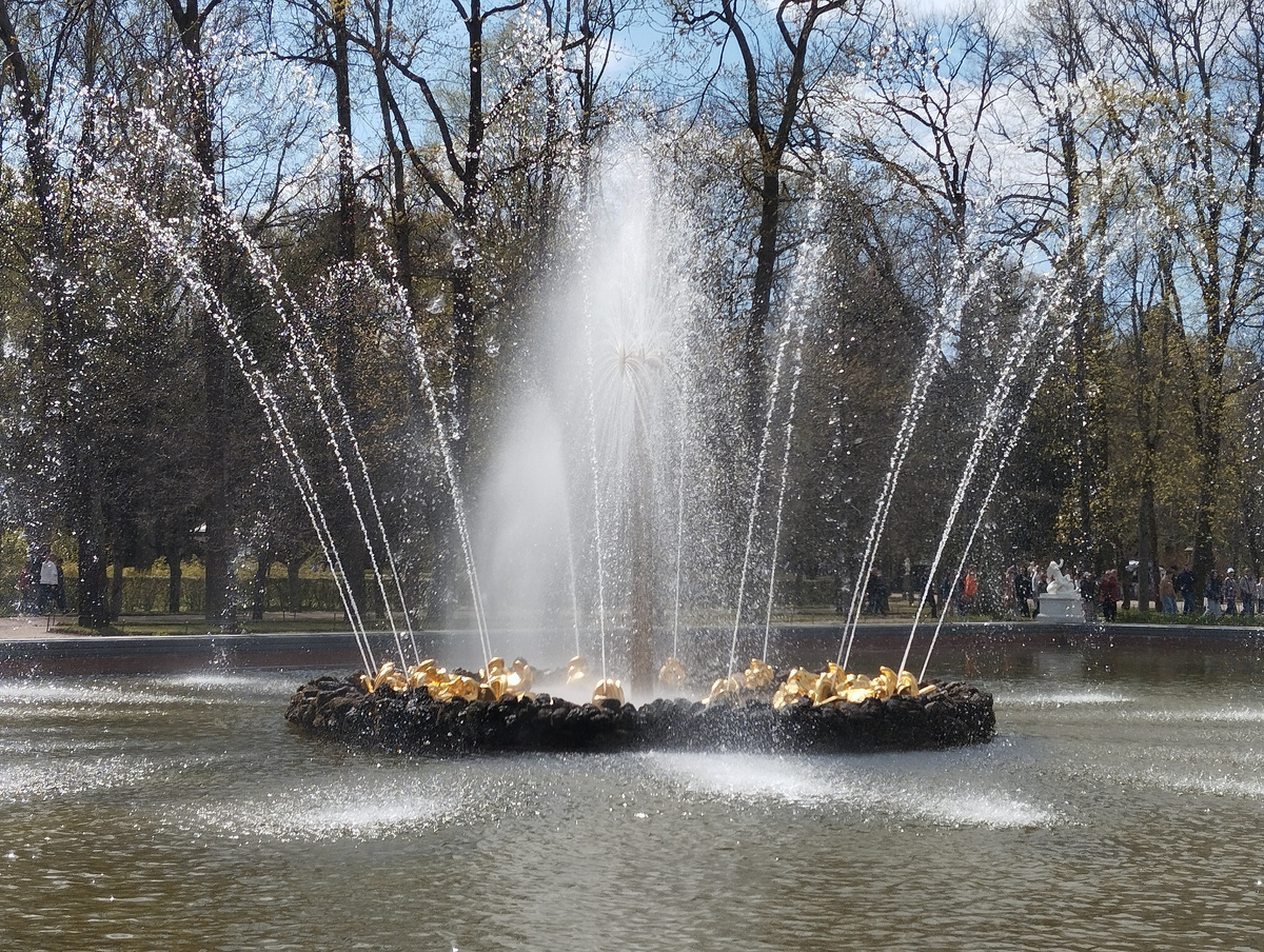 Фонтан "Солнце" возле дворца "Монплезир"