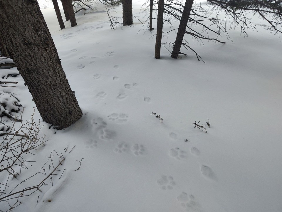    Фото: пресс-служба заповедника