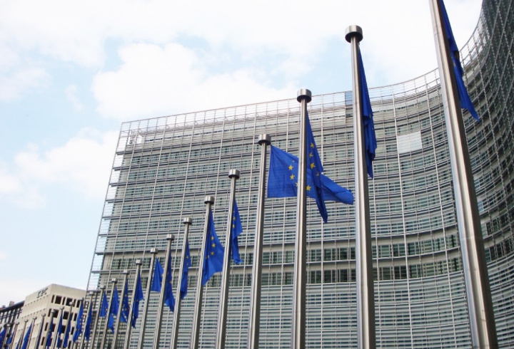 фото: pxhere.com