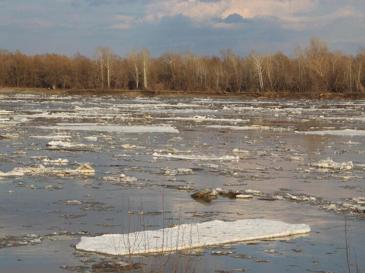     Фото: МК на Алтае/Анастасия Полторацкая