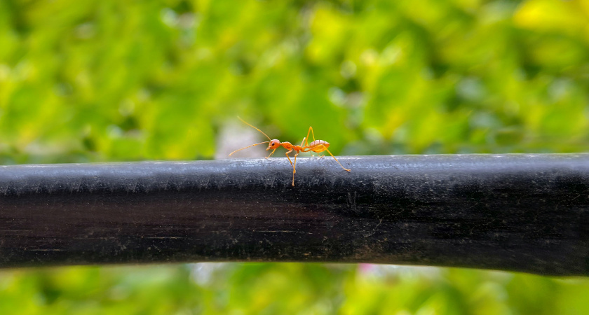    Фото с сайта unsplash.com