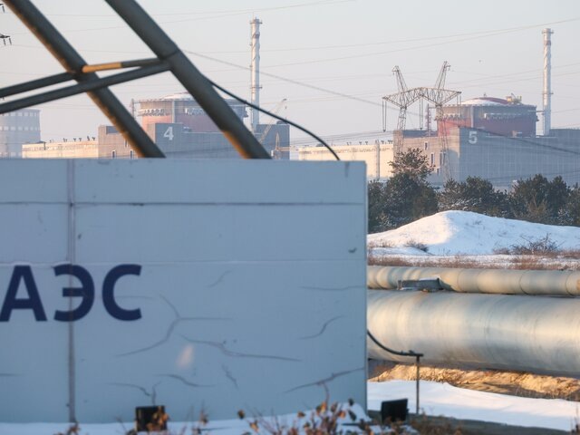    Фото: ТАСС/Александр Полегенько