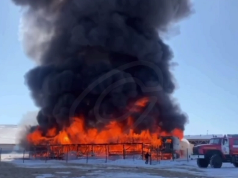 © Фото: t.me/sliva_channel_tg