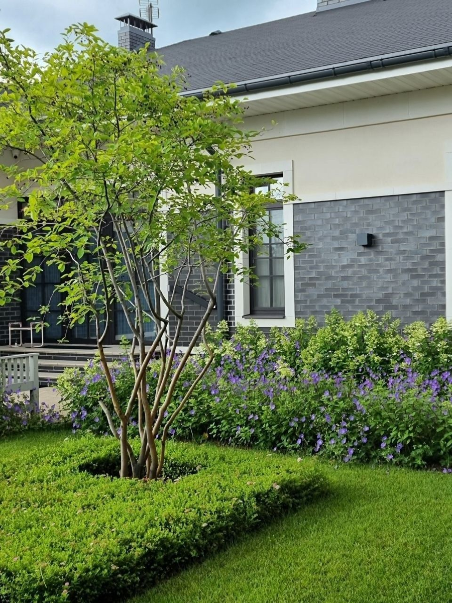 Так может выглядеть ваш участок уже этим летом — без лишних затрат и нервов