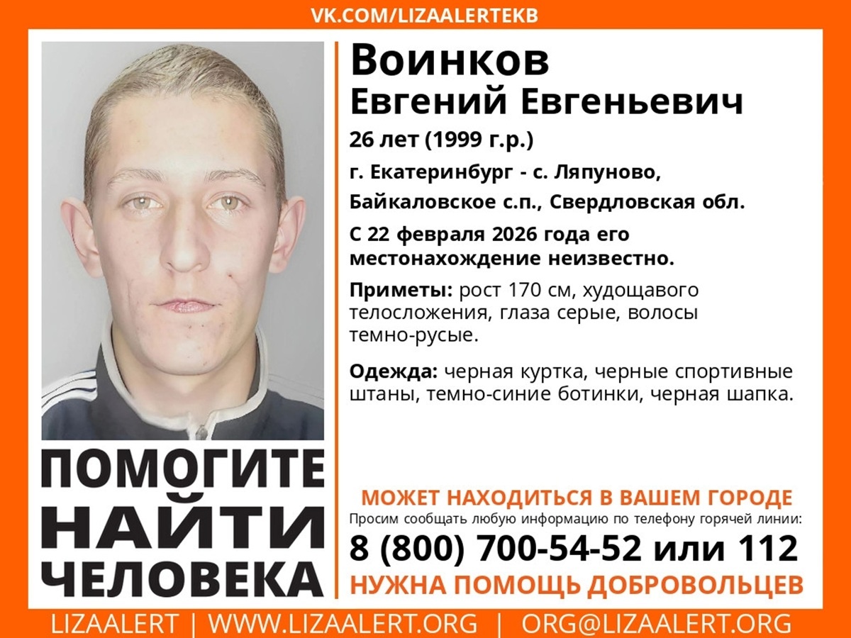 Фото: поисковый отряд «Лиза Алерт» Свердловской области  📷
