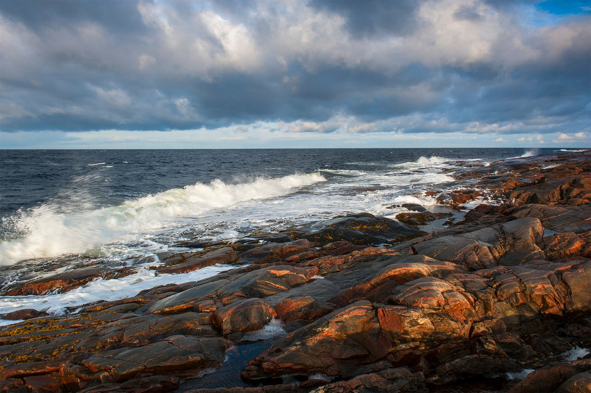 Фото Виталий Зайцев