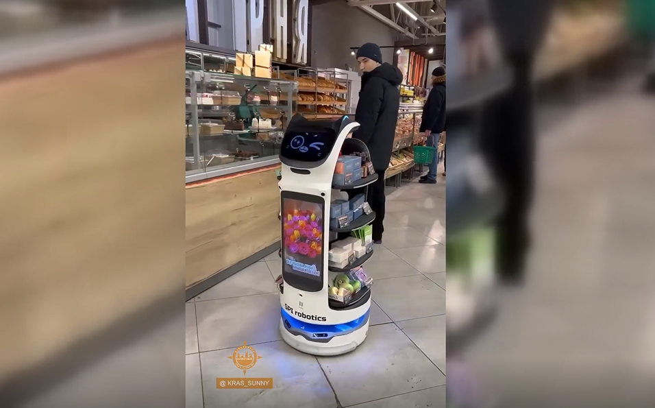     В красноярском Солнечном робот-кот поздравляет девушек с 8 Марта