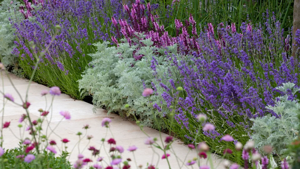 Ароматический сад от GreenSH — место, где хочется задержаться подольше