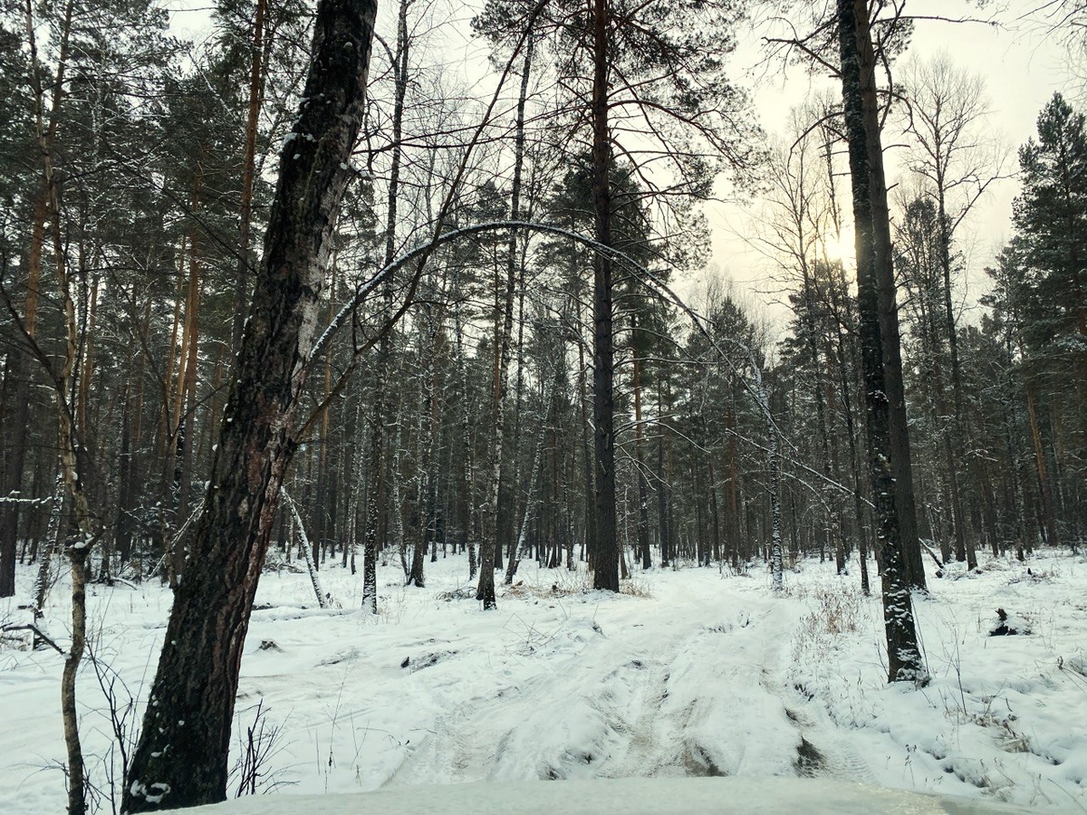 Едем на Голубые озера. Республика Алтай.