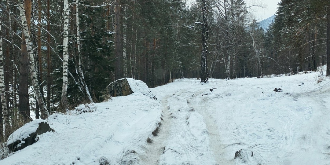 Дорога (или бездорожье) до Голубых озер. Алтайские путешествия.