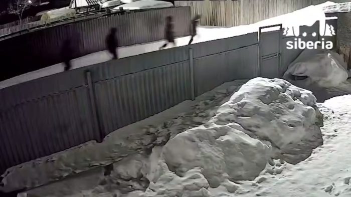 Скриншот видео тг-канала Mash Siberia.