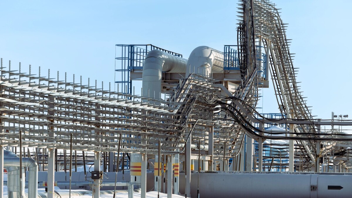    Фото: Юлия Чудинова / «Ямал-Медиа»