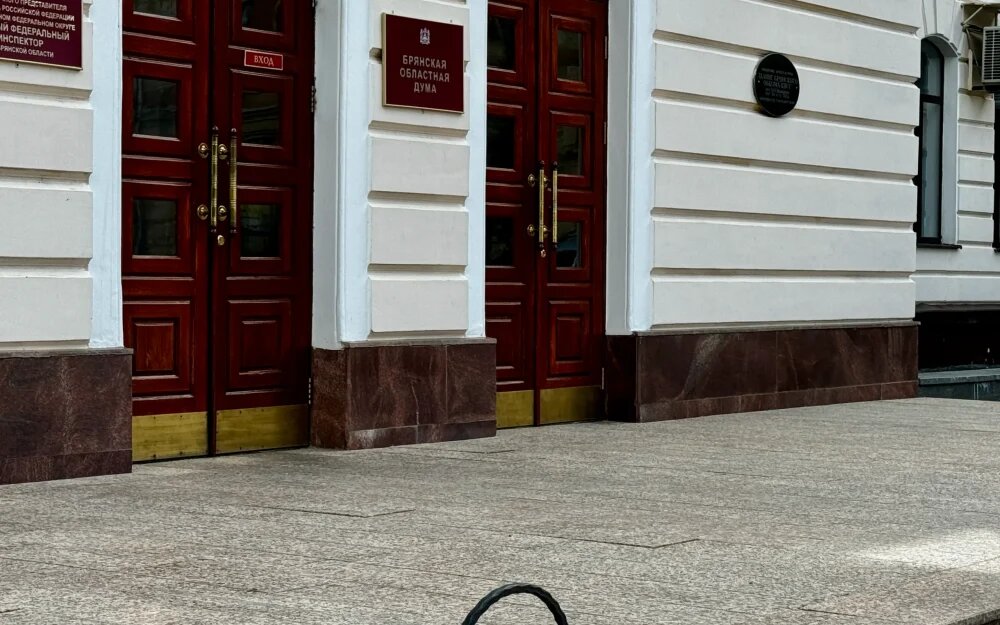    Фото: "Брянские новости"