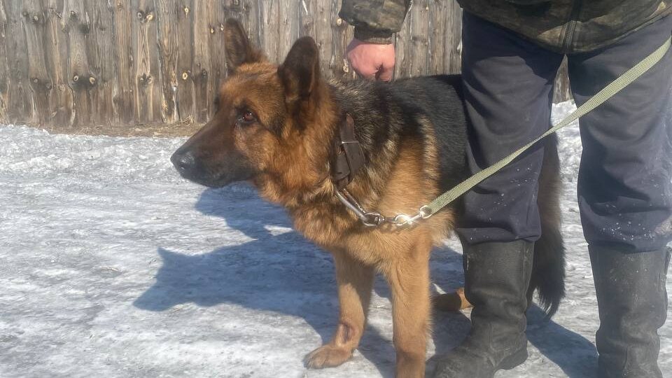 Сборы на важное продолжаются. Надо сегодня многое успеть!