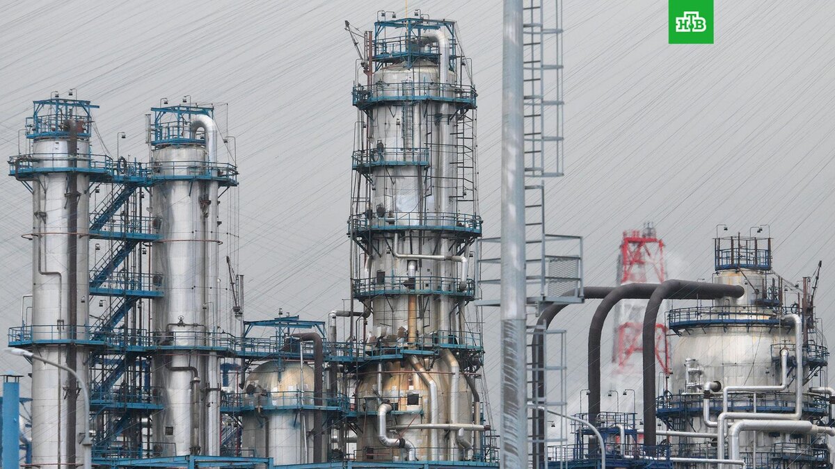    Фото: РИА Новости © 2026, Илья Питалев