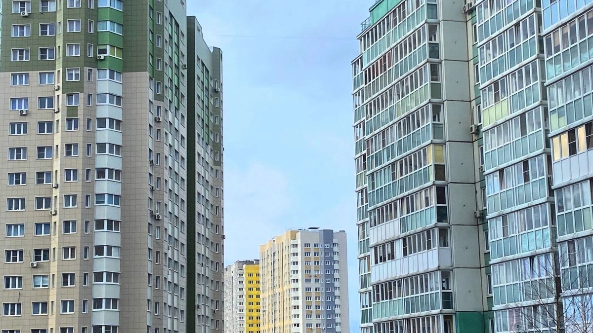   Юлия Литвиненко / mkset.ru