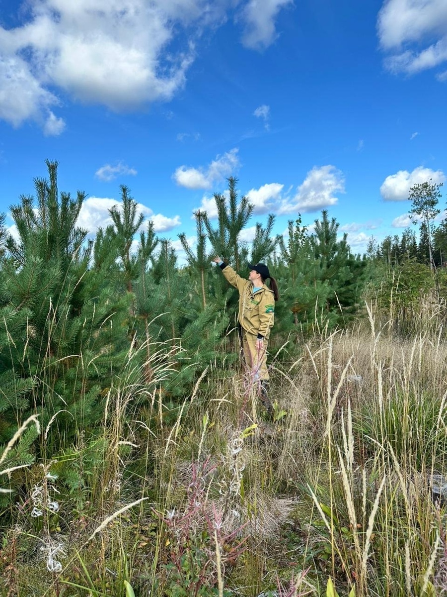    Фото: Минприроды Карелии