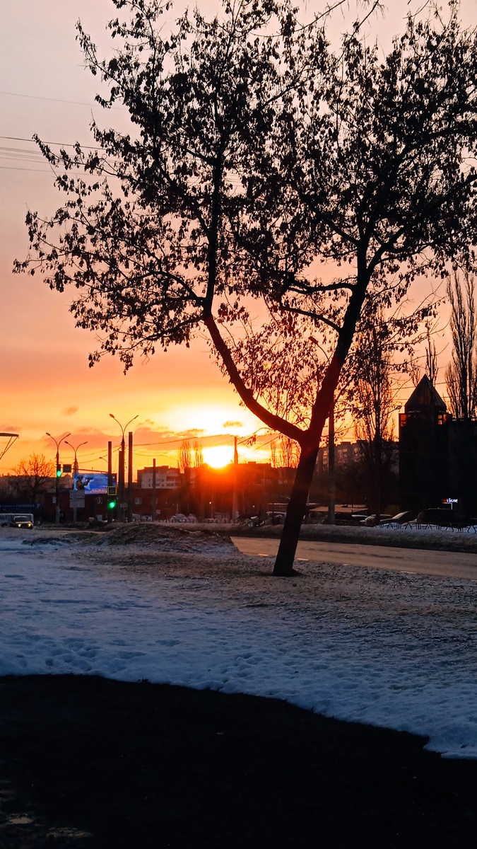 Все фото автора. Это фото сделано 04.03.2026. Несмотря на сильные снегопады этой зимой и большое количество снега, уже так хорошо подтаяло