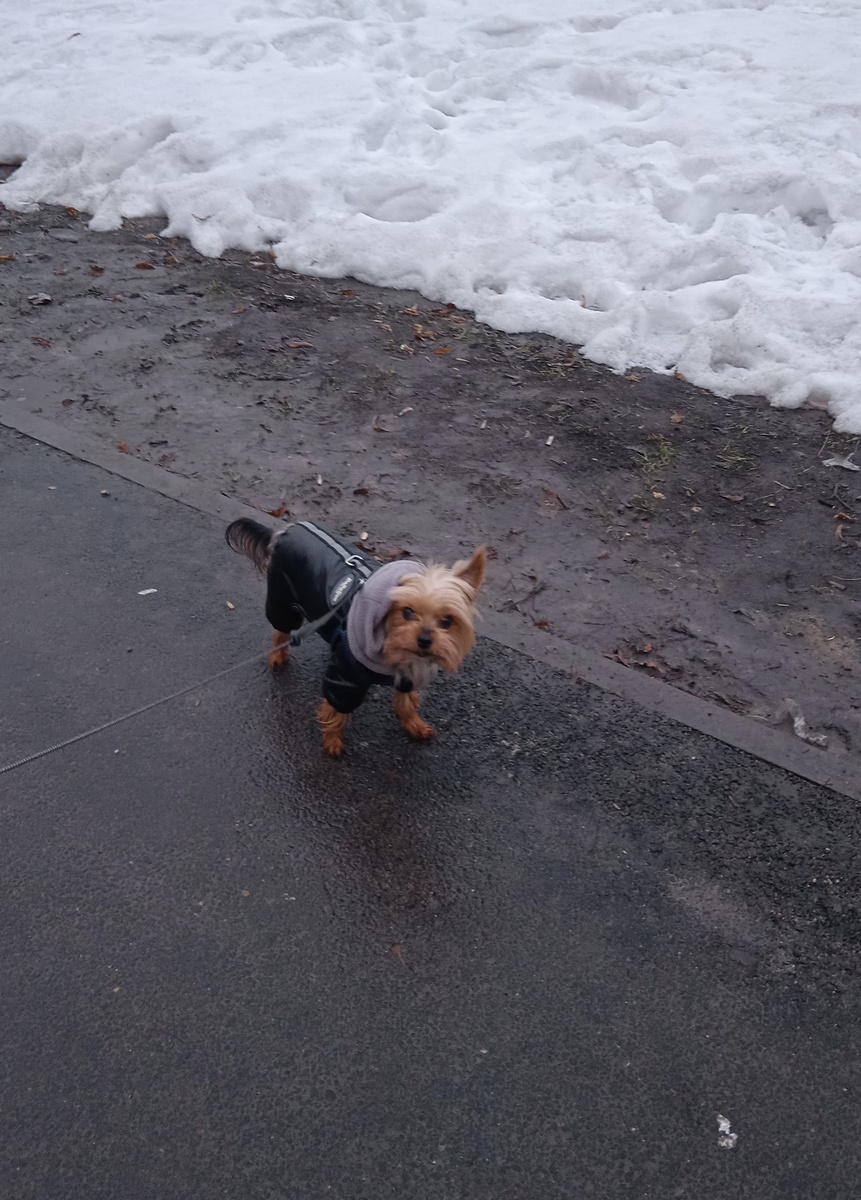 Вечерняя прогулка. Около 18-00 уже так светло