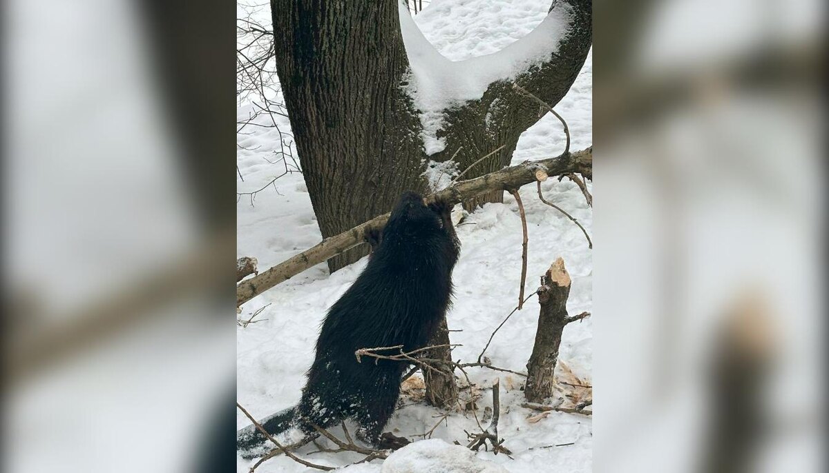 Фото: Юлия Мариничева