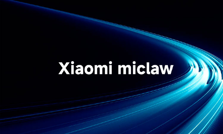 Изображение: Xiaomi