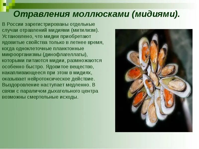 Фото из открытых источников интернета 