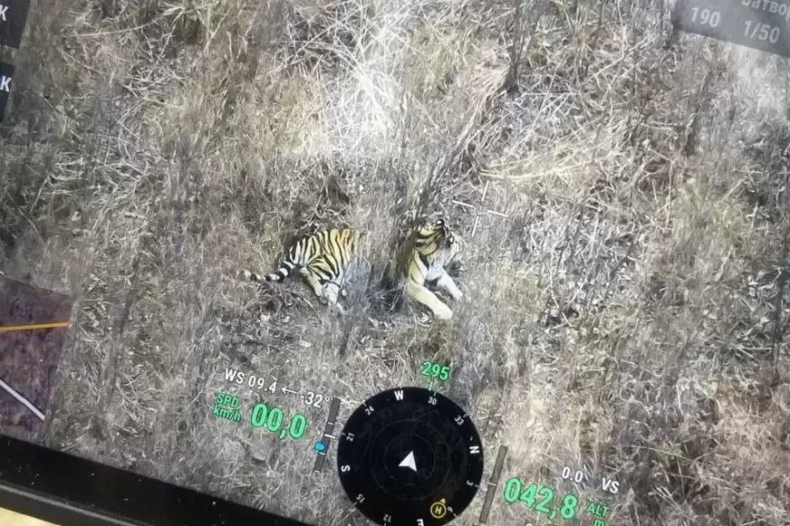    Источник фото: Минприроды Приморья