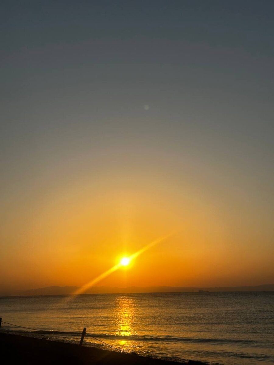 Фото из свободного источника интернет