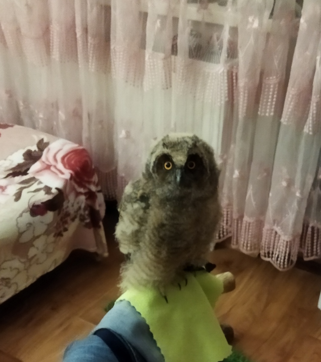 Когда фраза "брать работу на дом" заиграла новыми красками.